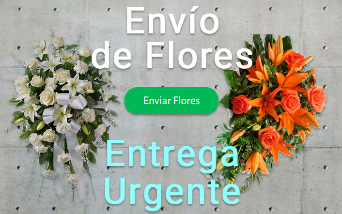 Envio flores difunto urgente a Tanatorio Valencia